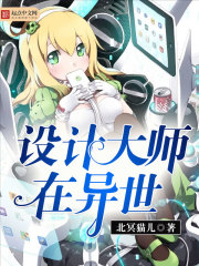 设计师小说