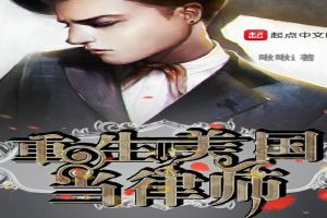 重生美国大律师