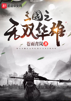三国之无双天下