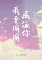 偷偷藏住你 小说