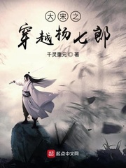 穿越宋朝杨家第七子的小说