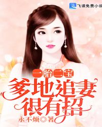 一胎二宝:爹地追妻很有招