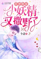 君爷又被套路了番外免费阅读