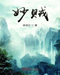 妙贼警探第一季