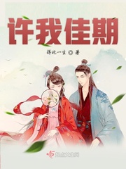 许我佳期骤雨行