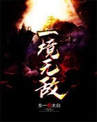 一境无敌