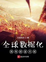 全球数据化或者游戏化的小说