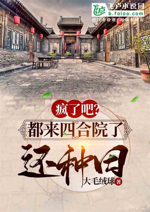 四合院都去扛大包小说