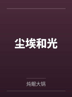 尘埃和光