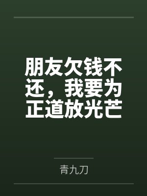 朋友欠钱不还，我要为正道放光芒