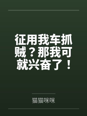 征用我车抓贼？那我可就兴奋了！