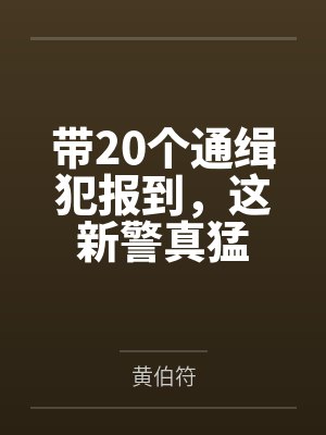 带20个通缉犯报到，这新警真猛