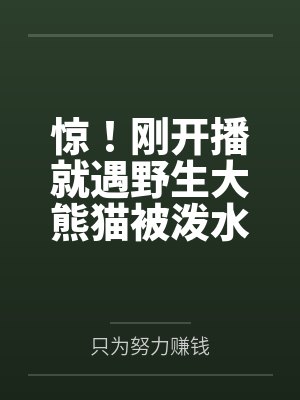 惊!刚开播就遇野生大熊猫被泼水