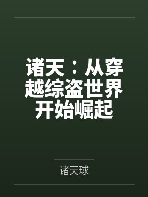 诸天：从穿越综盗世界开始崛起