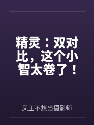 精灵:双对比,这个小智太卷了!