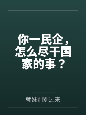 你一民企,怎么尽干国家的事?
