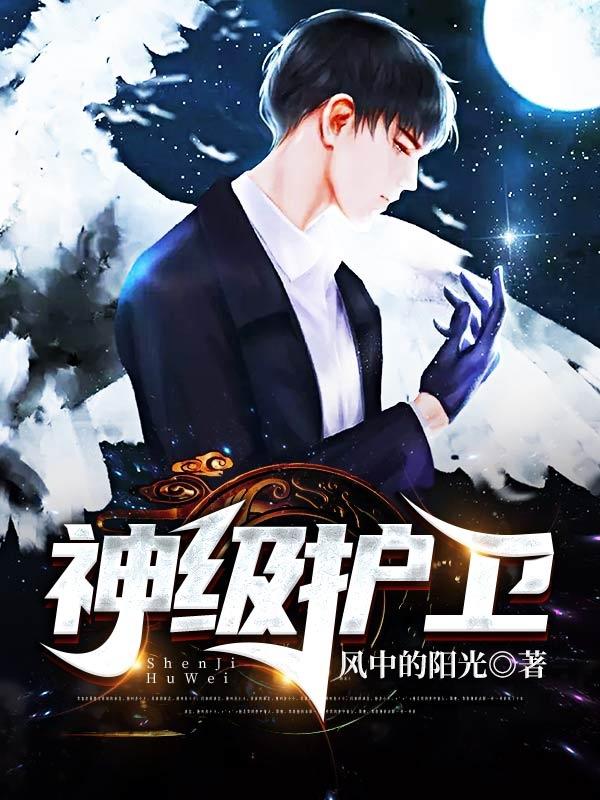 神级护卫小说