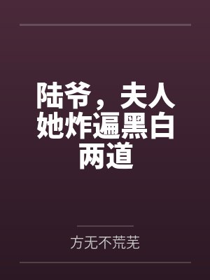 陆爷,夫人她炸遍黑白两道