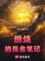燃烧的书