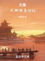 丈量:大明但是大同纪元