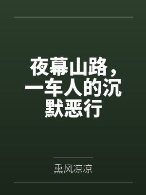 夜幕山路，一车人的沉默恶行