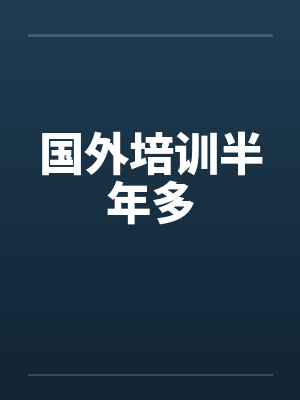 国外培训半年多