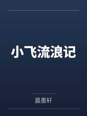 小飞流浪记