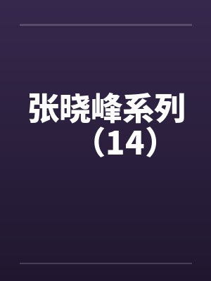 张晓峰系列（14）