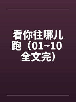 看你往哪儿跑（01~10 全文完）