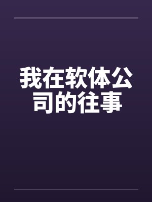 我在软体公司的往事