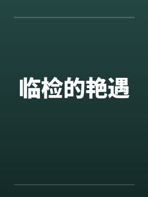 临检的艳遇