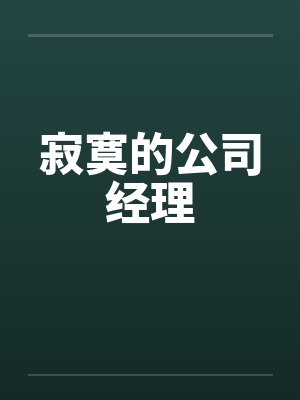 寂寞的公司经理