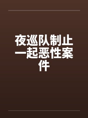夜巡队制止一起恶性案件