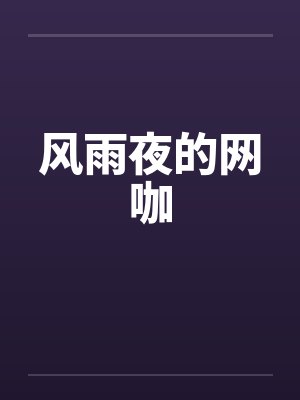 风雨夜的网咖