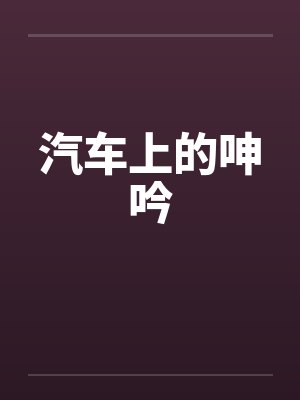 汽车上的呻吟