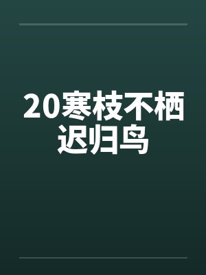 20寒枝不栖迟归鸟