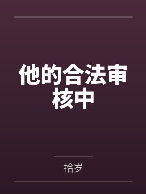 他的合法审核中