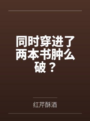 同时穿进了两本书肿么破？
