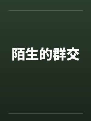 陌生的群交