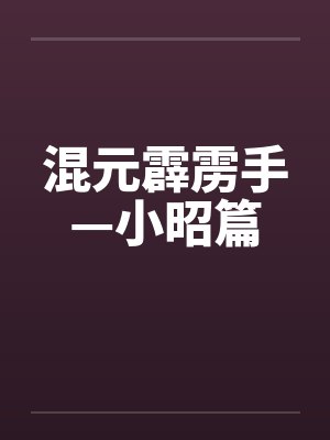 混元霹雳手—小昭篇