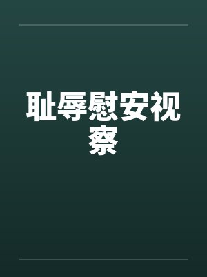 耻辱慰安视察