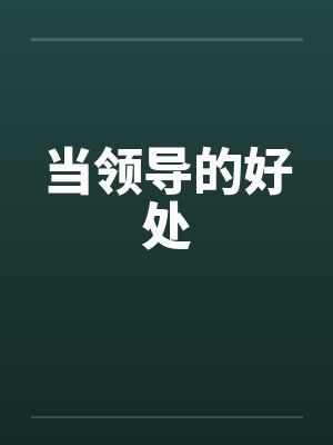 当领导的好处