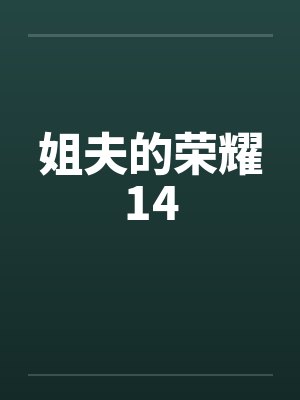 姐夫的荣耀14