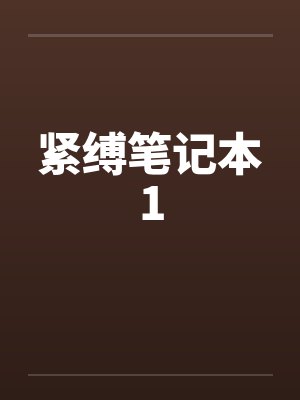 紧缚笔记本1