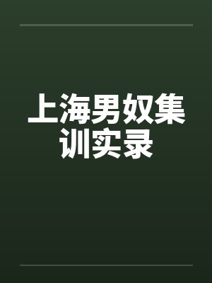 上海男奴集训实录