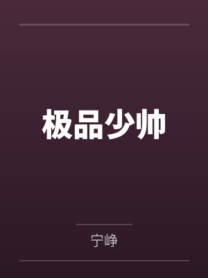 极品少帅