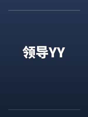 领导YY