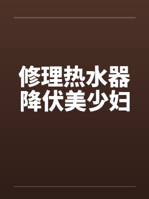 修理热水器降伏美少妇