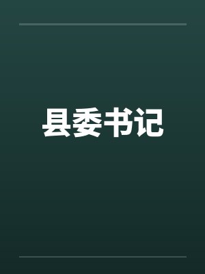 县委书记