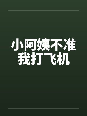 小阿姨不准我打飞机